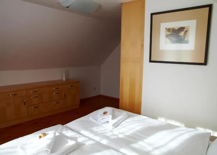 盆棕纳欧斯特罗夫酒店 3* Český Krumlov